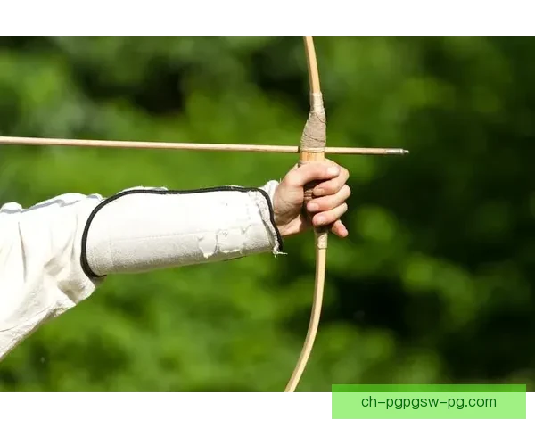 射箭联赛：弓箭手的荣耀之战